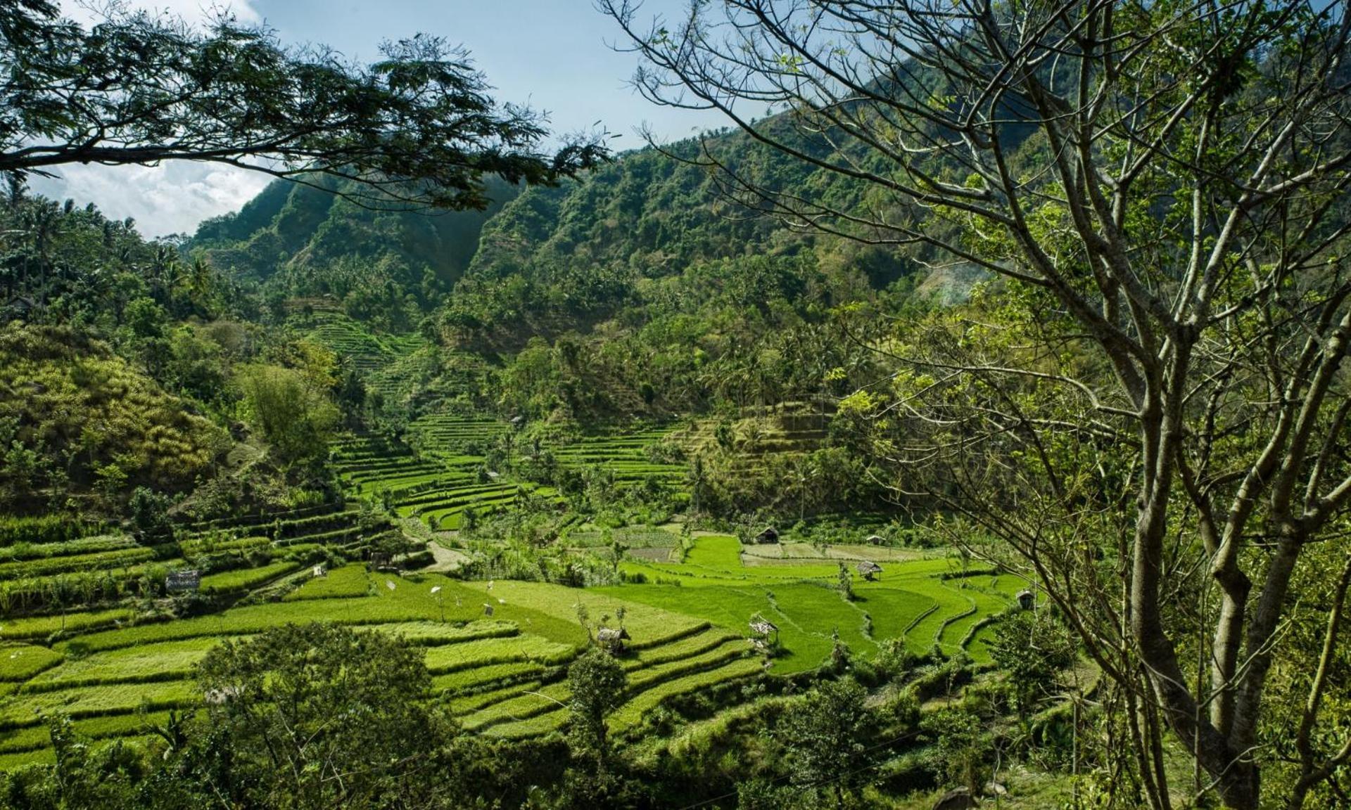 Retreat Villa Toraja Baturinggit Kubu Dış mekan fotoğraf